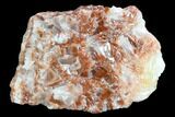 Free-Standing Red Calcite Display - Chihuahua, Mexico #129476-1